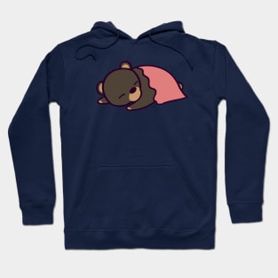 Sleeping Bear Cub Hoodie